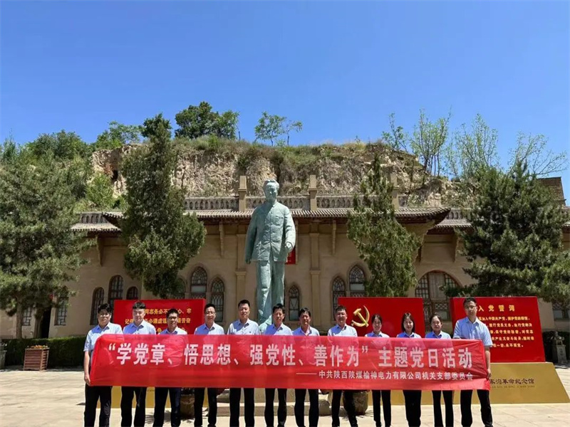 榆神電力公司開展“學黨章、悟思想、強黨性、善作為”主題黨日活動.jpg